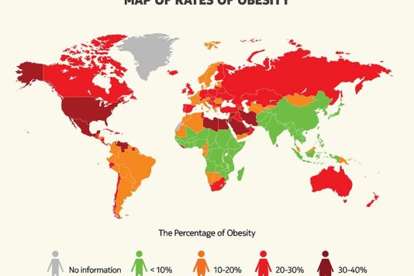 Map displaying the rates of obesity across the globe