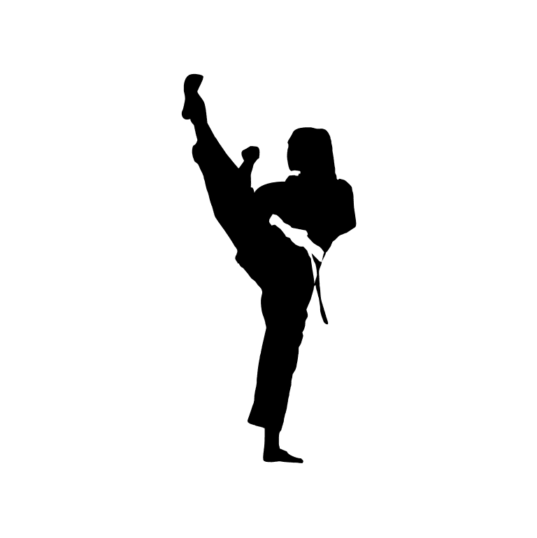 karate software being used in a dojo to operate a karate dojo