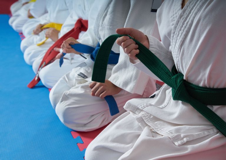 Image of students with different karate belt colors