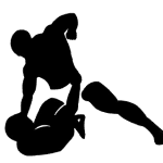 Tow fighters engaged in a mixed martial arts battle in the octogon