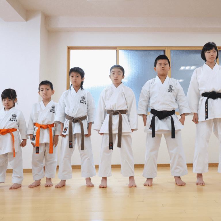 Image of rank tracking belt test