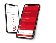 RhinoFIt-Fitness-App-New-2022 RhinoFit affiliate gym software displayed on a mobile device